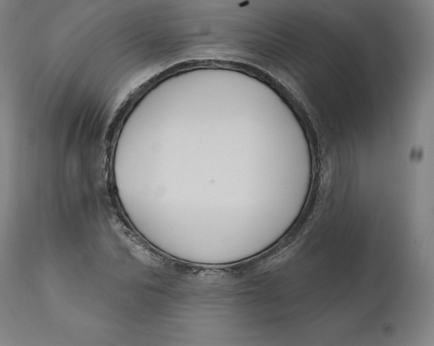 X0000110700974200907021953