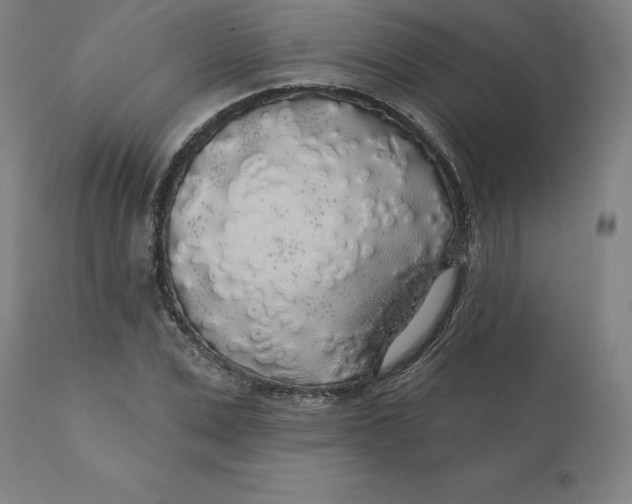 X0000110700975200907021953