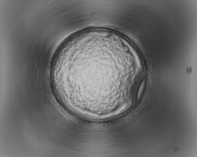 X0000110700976200907021953