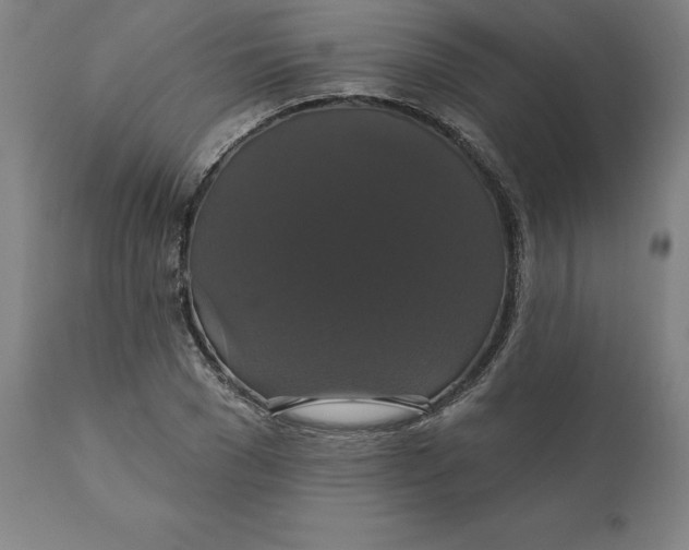 X0000110700977200907021953