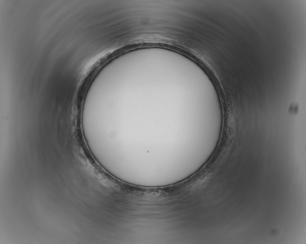 X0000110700979200907021953