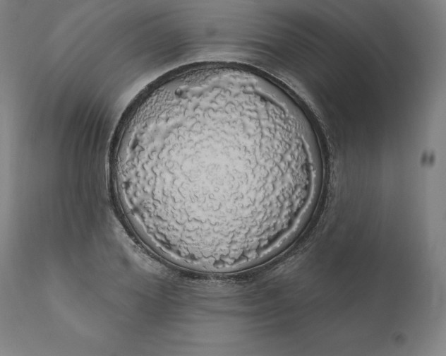 X0000110700980200907021953