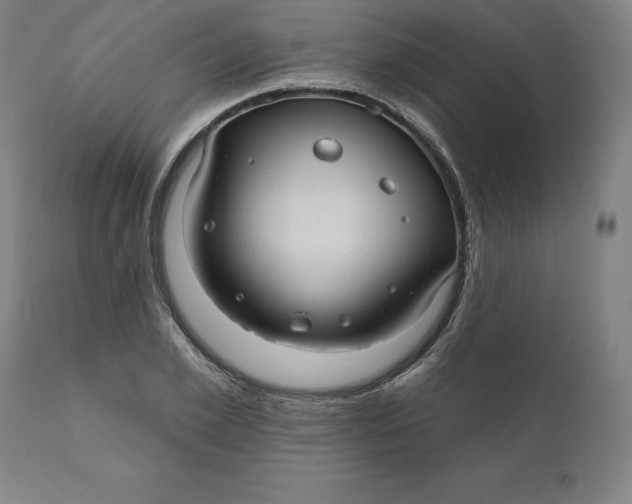 X0000110700981200907021953