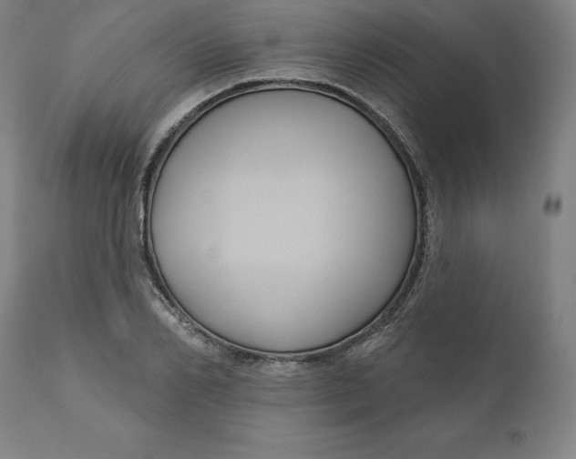 X0000110700982200907021953