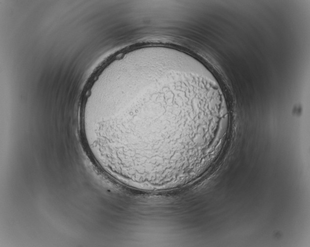 X0000110700984200907021953