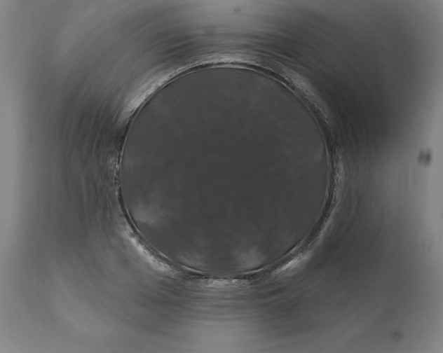 X0000110700985200907021953