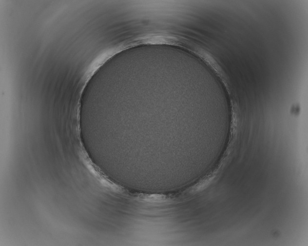 X0000110700986200907021953