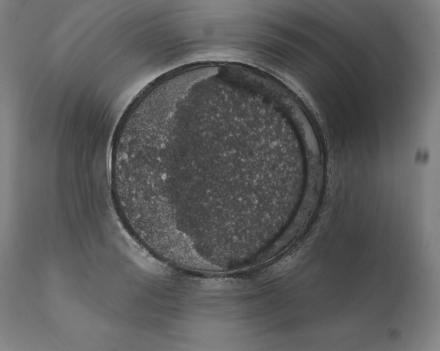 X0000110700988200907021953