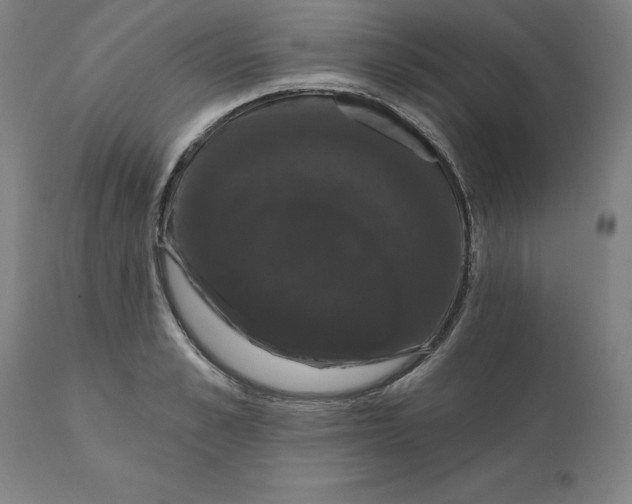 X0000110700989200907021953