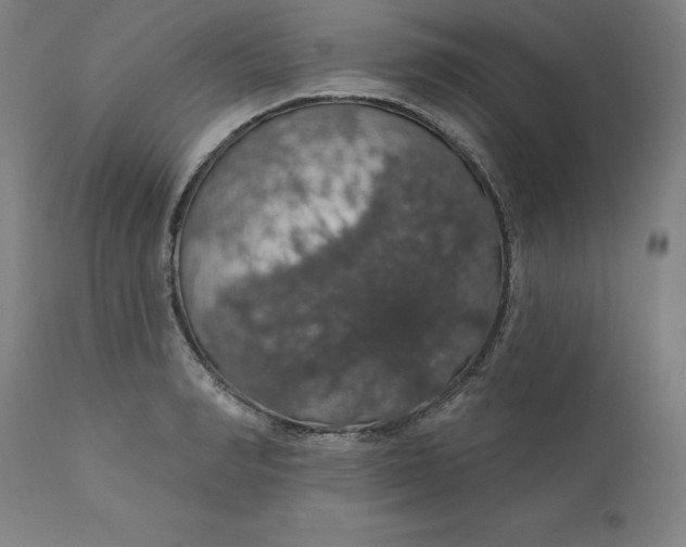 X0000110700990200907021953