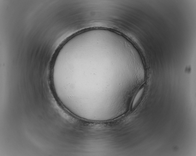 X0000110700991200907021953