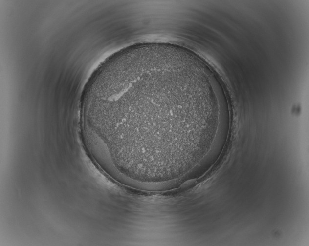 X0000110700992200907021953