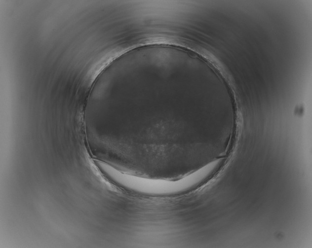 X0000110700993200907021953