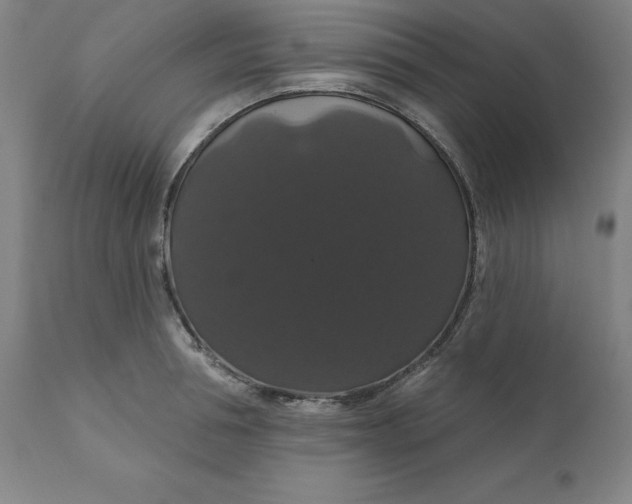 X0000110700994200907021953