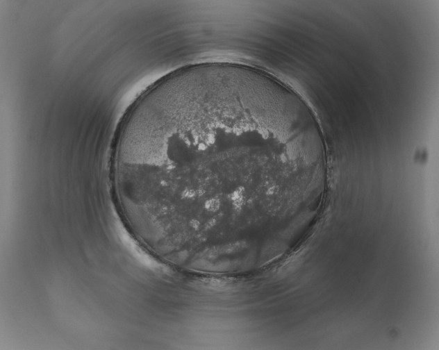 X0000110700995200907021953