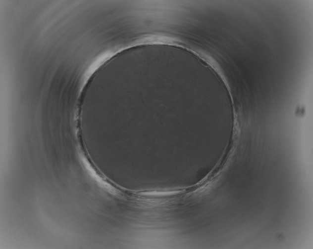 X0000110700997200907021953