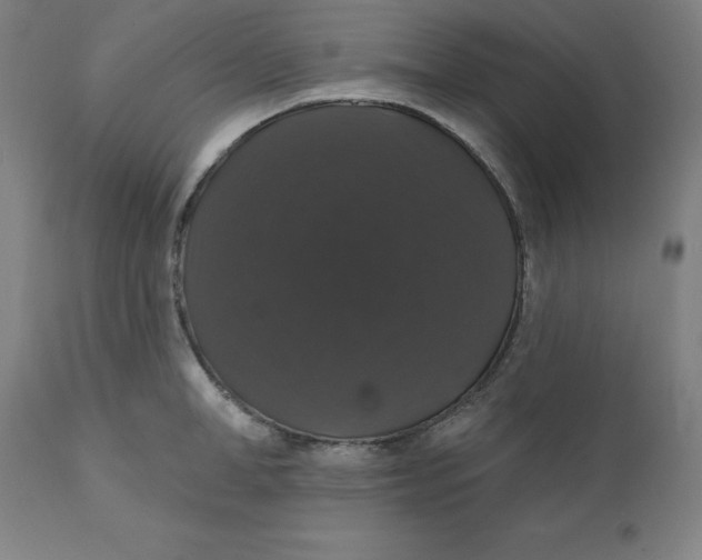 X0000110700998200907021953