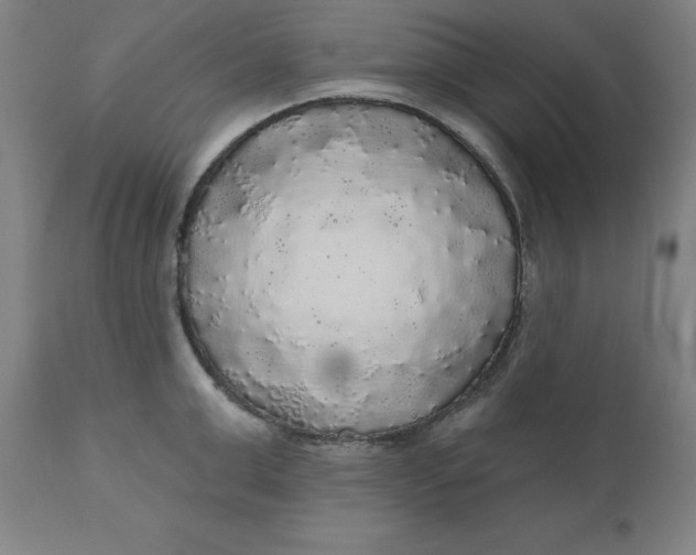 X0000110700999200907021953