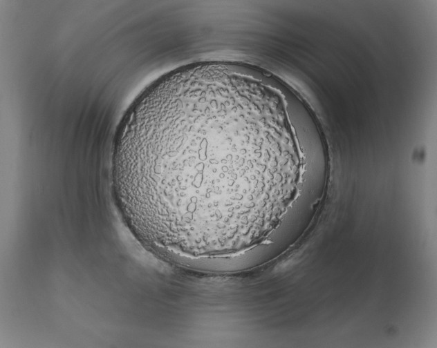 X0000110701000200907021953