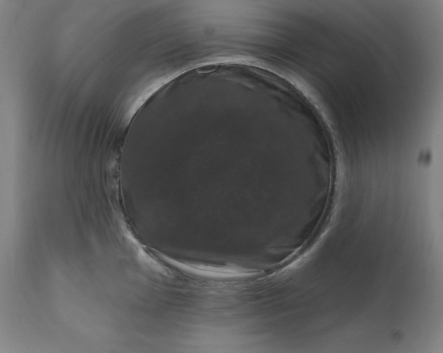 X0000110701001200907021953