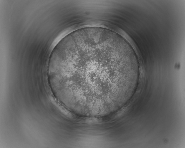 X0000110701002200907021953