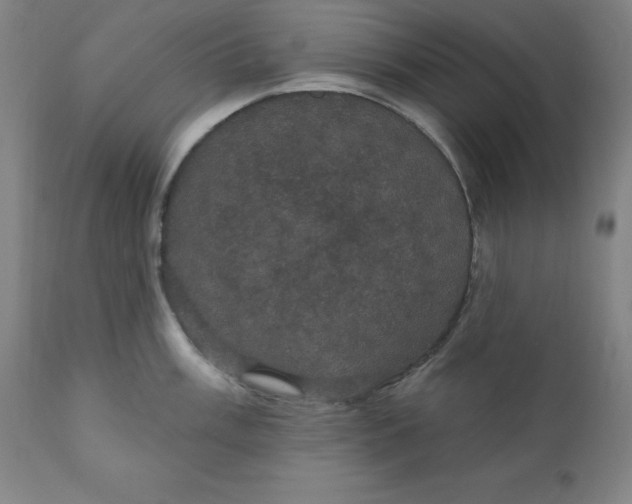 X0000110701003200907021953