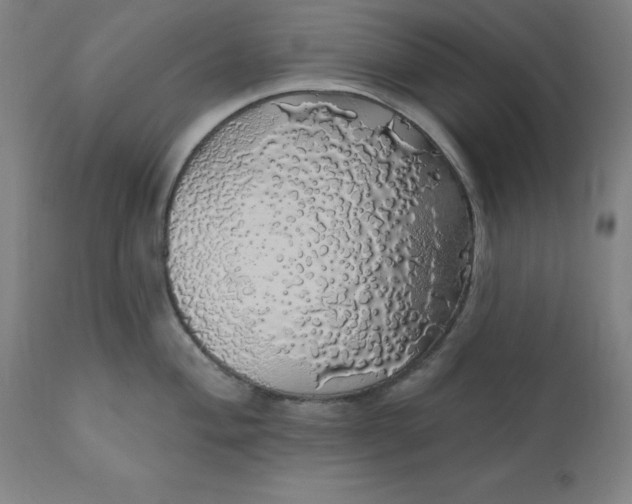 X0000110701004200907021953