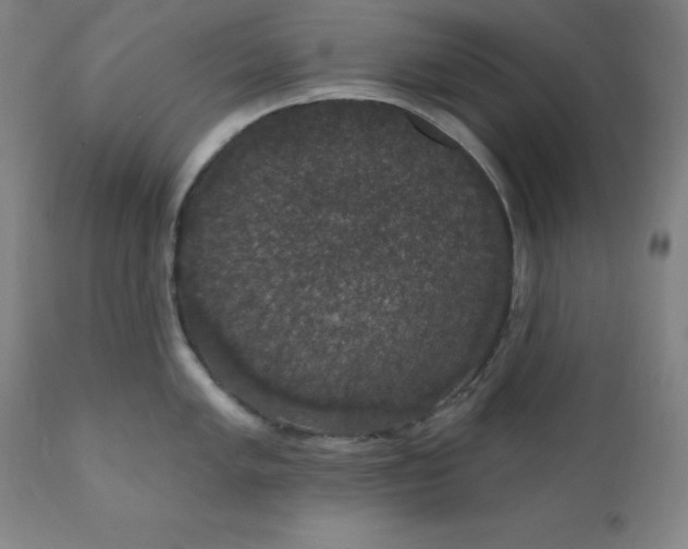 X0000110701005200907021953