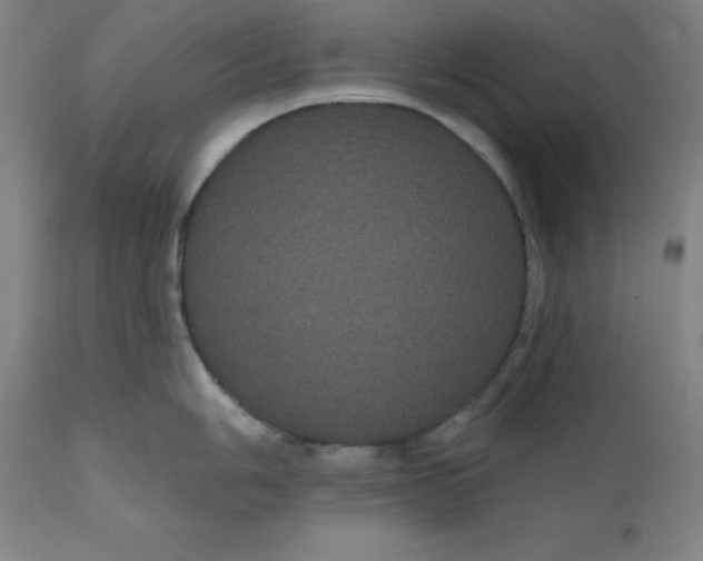 X0000110701006200907021953