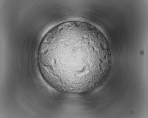 X0000110701007200907021953