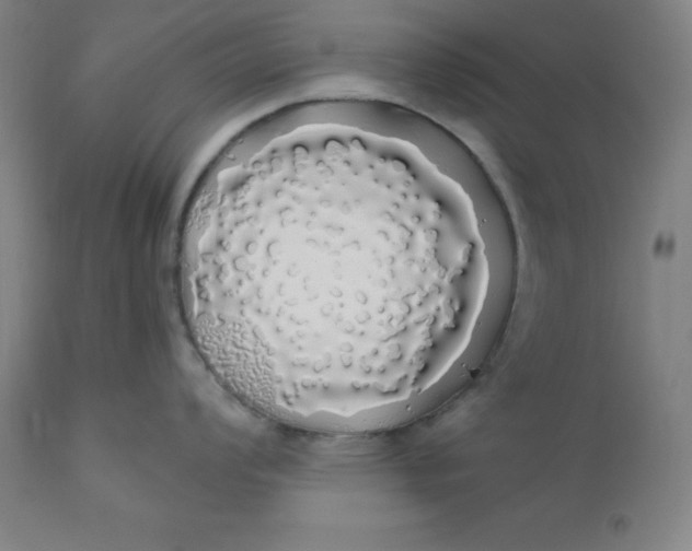 X0000110701008200907021953