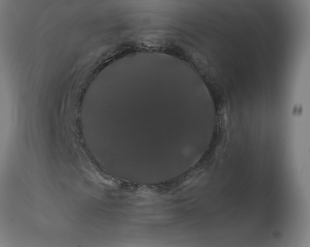 X0000110701009200907021952