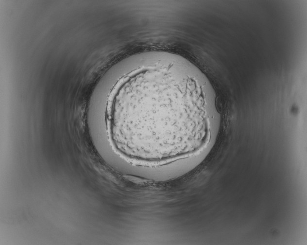 X0000110701010200907021952