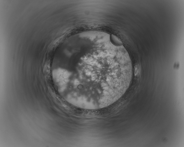 X0000110701011200907021952