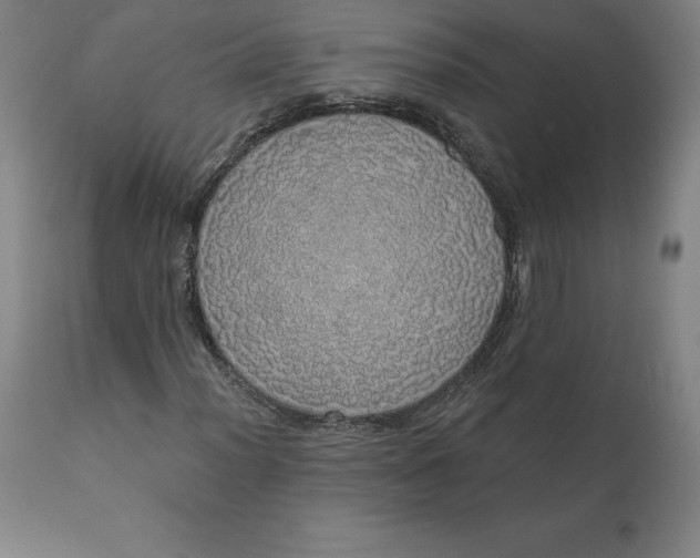 X0000110701012200907021952