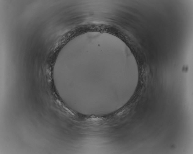 X0000110701013200907021952