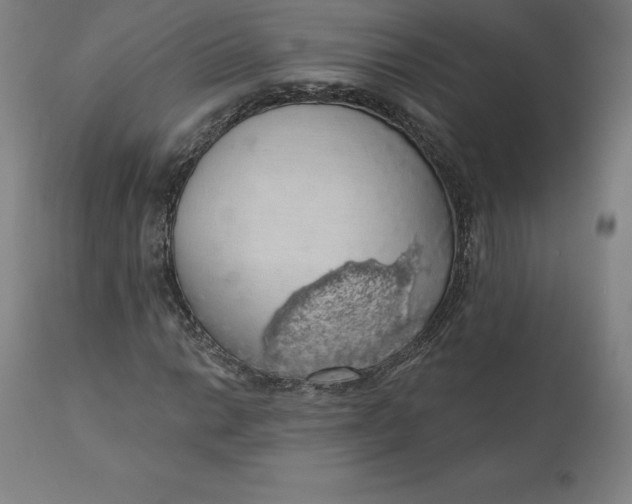 X0000110701014200907021952