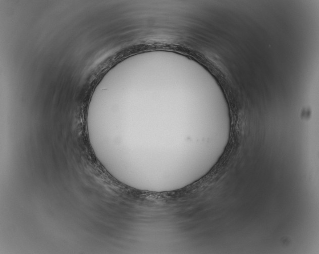 X0000110701015200907021952