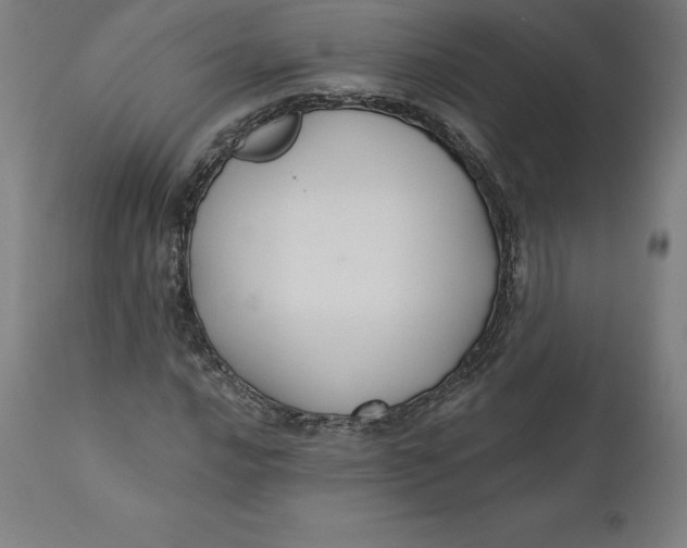 X0000110701016200907021952