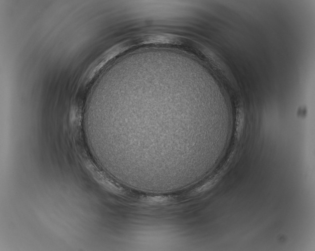 X0000110701017200907021952