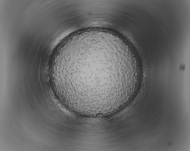 X0000110701018200907021952