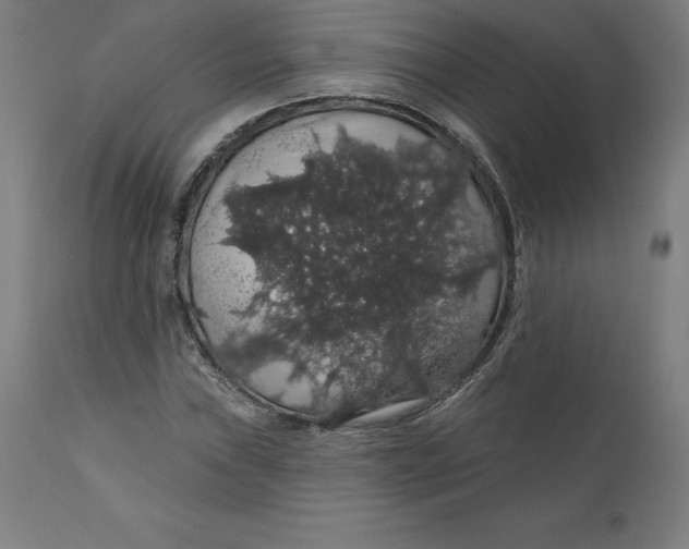 X0000110701019200907021952