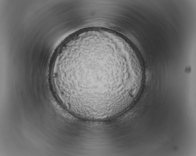 X0000110701020200907021952