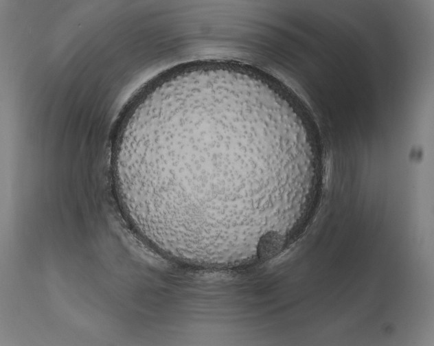 X0000110701021200907021952