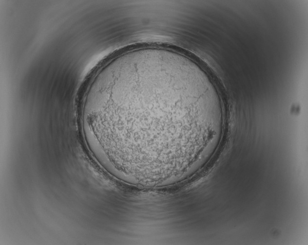 X0000110701022200907021952