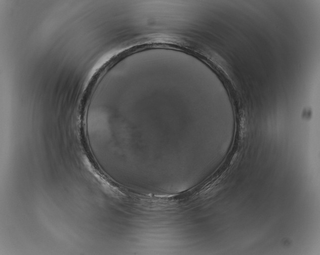 X0000110701024200907021952