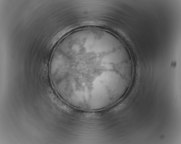 X0000110701025200907021952