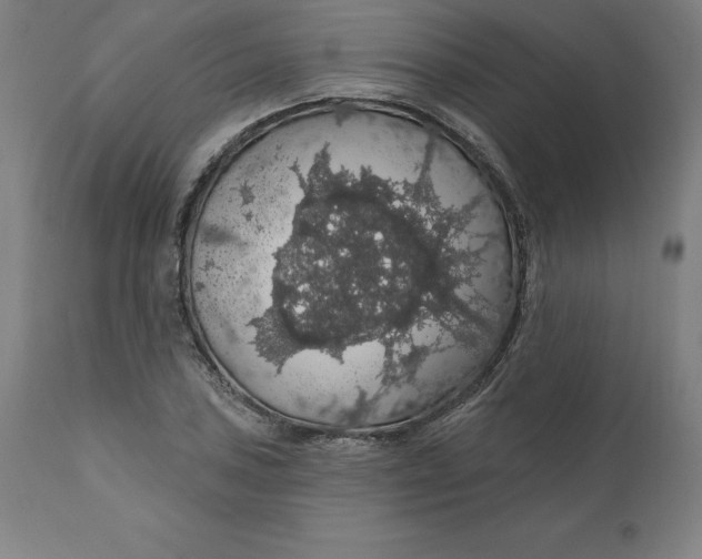 X0000110701027200907021952