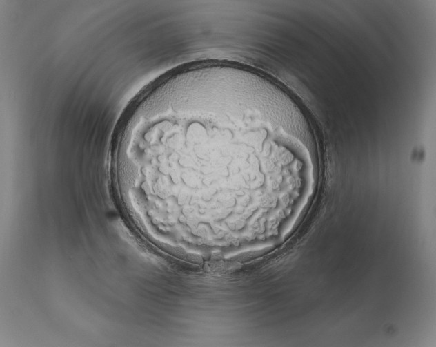 X0000110701028200907021953