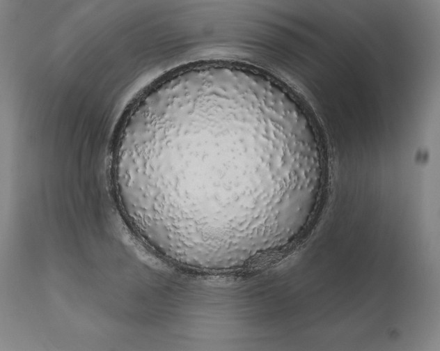 X0000110701029200907021953